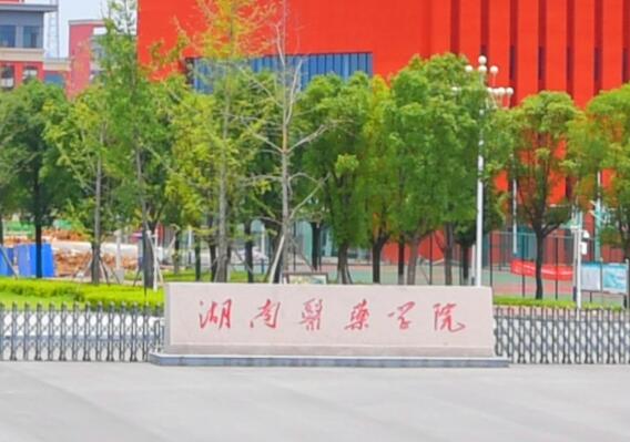 湖南医药学院教学综合信息服务平台62c41fbf.skynetcloud.com/xtgl/login_slogin.html