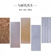 新金属夹丝玻璃/艺术丝布