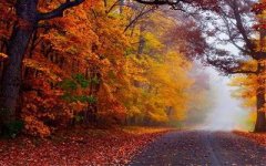 重庆主城区有水平的风水调理易经老师谁更厉害?