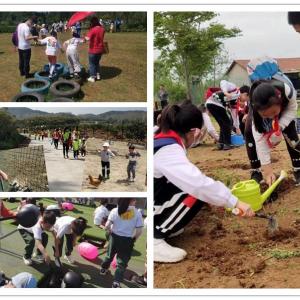 感到始料未及2022武汉学生春游好出处这么棒你差点没来