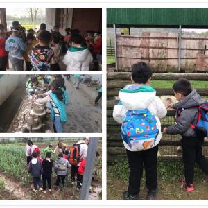 告别没人玩推荐一处武汉学生春游开心了你确定不转一圈？