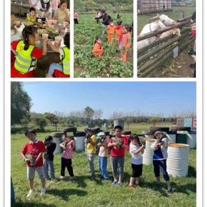 边玩边学的武汉户外夏令营还没体验过，乐农湖畔让你不虚此行。