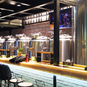 安徽酒吧2000升精酿啤酒设备酿造啤酒的设备