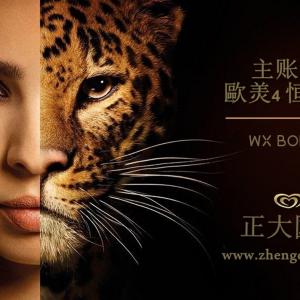 正大国际期货招主账户对接捷易宝