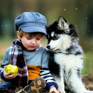 重庆澳大利亚新西兰加拿大结婚移民伴侣移民