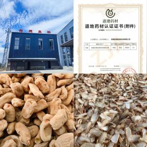 昭通小草坝天麻素：古德生物以高含量科技赋能健康价值