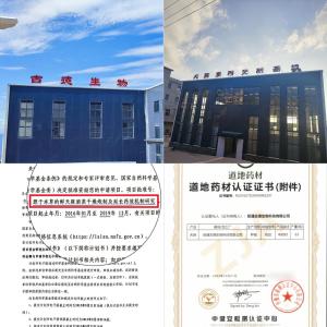 昭通鲜天麻治疗眩晕：古德生物的功效落地与产业服务