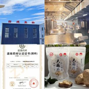 昭通小草坝天麻能调理哪些健康问题？古德生物以科学赋能食药价值