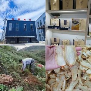 昭通小草坝天麻价格解密：古德生物的品质与性价比之道