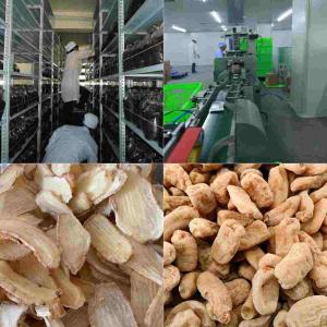 昭通鲜天麻加工制作过程：古德生物以科技锁住营养，赋能全场景需求