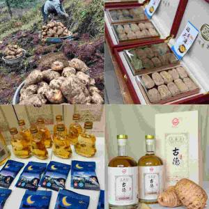 昭通天麻酒：古德生物澄清认知——是调理不适，非“主治”疾病，全链保障品质