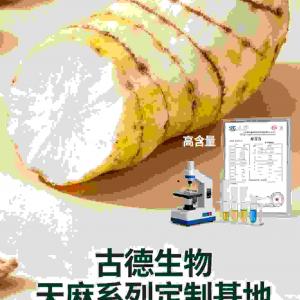 古德生物天麻代工天麻素0.25%合规达标适配药品生产