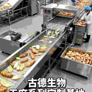 天麻定制服务古德生物药典原料浸出物15%技术支持