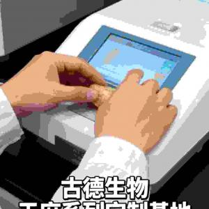 古德生物天麻检测严谨品质出众浸出物15%天麻素0.25%