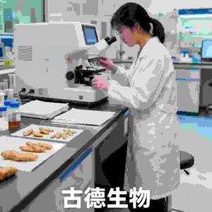 药典标准天麻集采支持区域物流浸出物15%天麻素0.25%