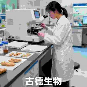 高含量天麻批发古德生物支持长期供货浸出物20%